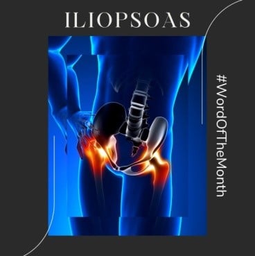 Iliopsoas