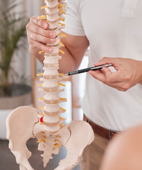 Final 2 - Chiropractor in Teneriffe