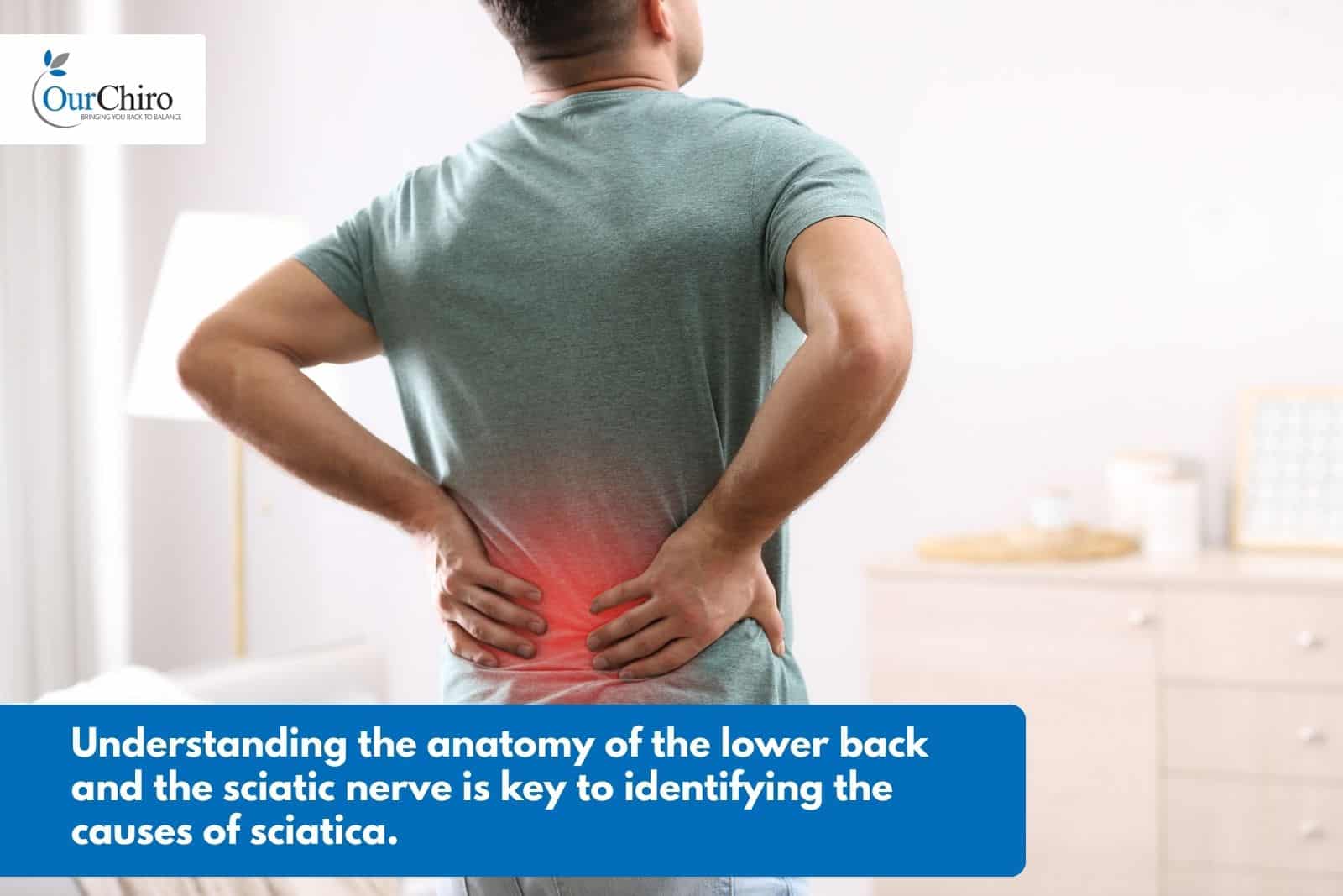 Sciatica 3 Myths Annotated - 3 myths about sciatica busted