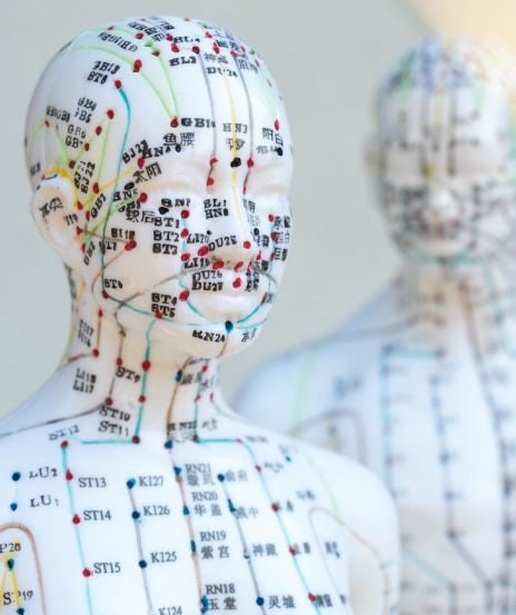 Acupuncture Bottom 2 - Acupuncture