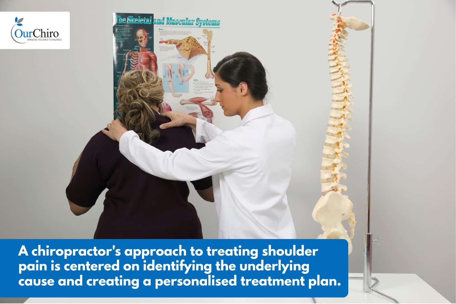 What common shoulder problems can a chiropractor help with? What common shoulder problems can a chiropractor help with Annotated - What common shoulder problems can a chiropractor help with?