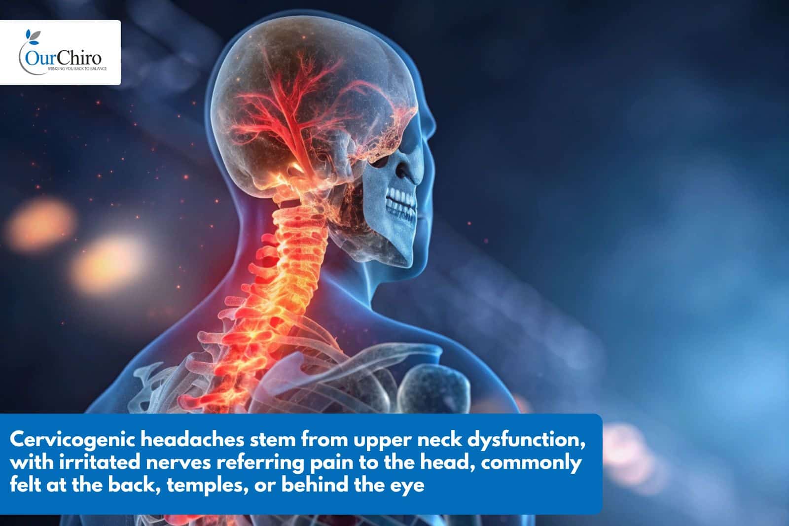 Can a chiropractor help with headaches  Annotated - Do headaches come from a sore neck, and can a chiropractor help?