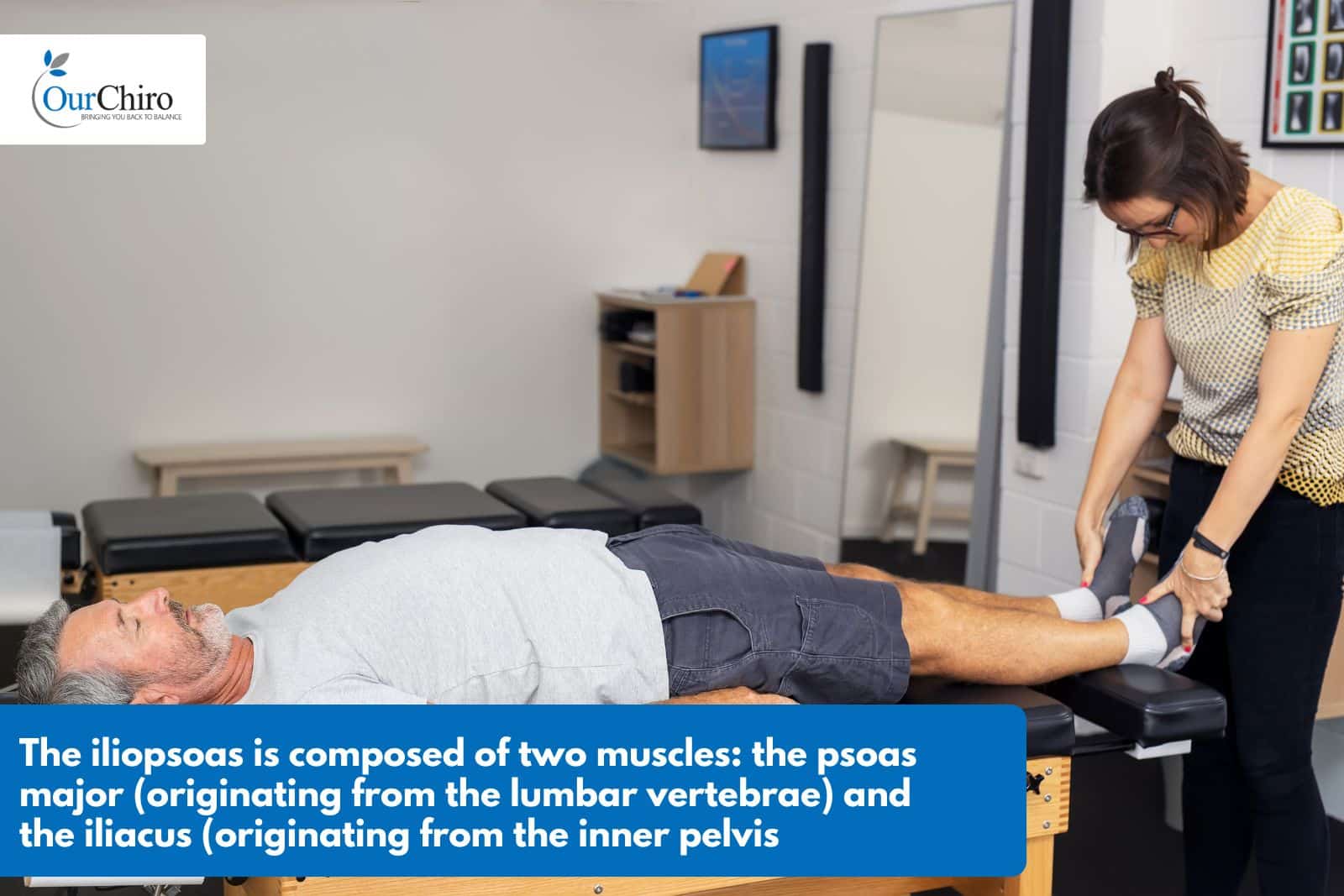 What is Iliopsoasannotated - What is the Iliopsoas?