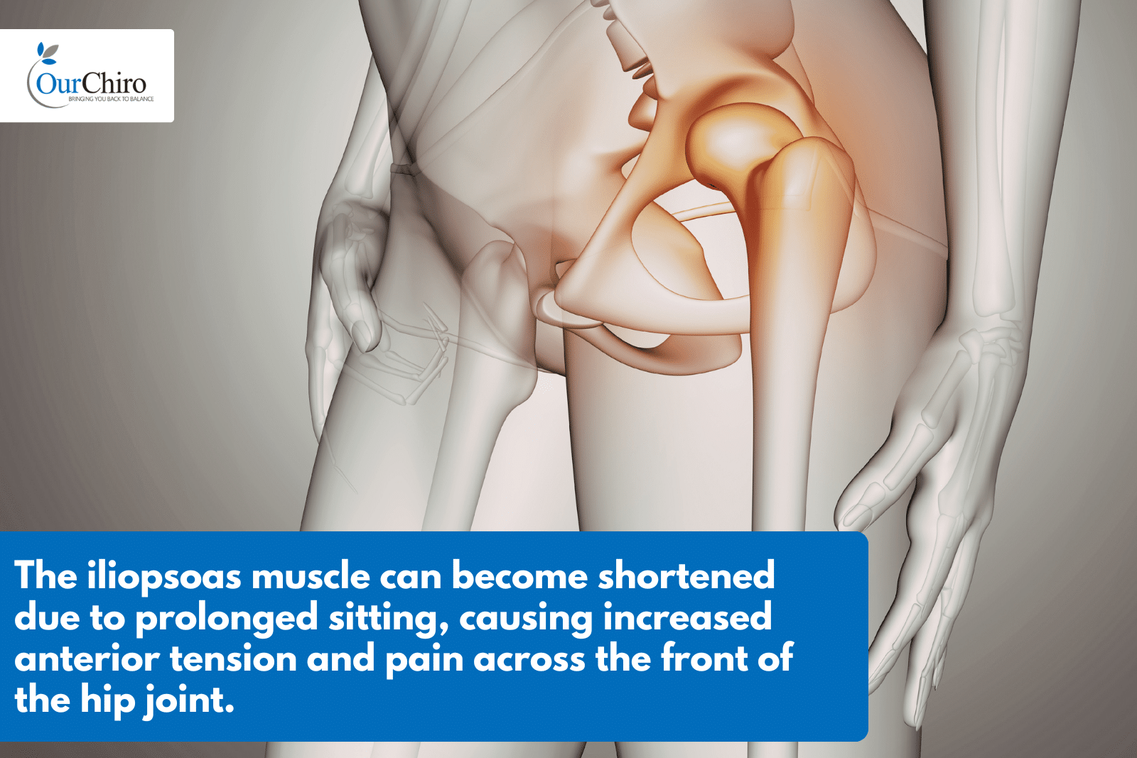 What causes hip pain and how can chiropractic help? Hip Pain Annotated - What causes hip pain and how can chiropractic help?